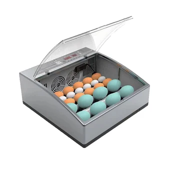 мини инкубатор за кокошите яйца с двоен хранене 12 + 220 цената е инкубаторной 100 машини
